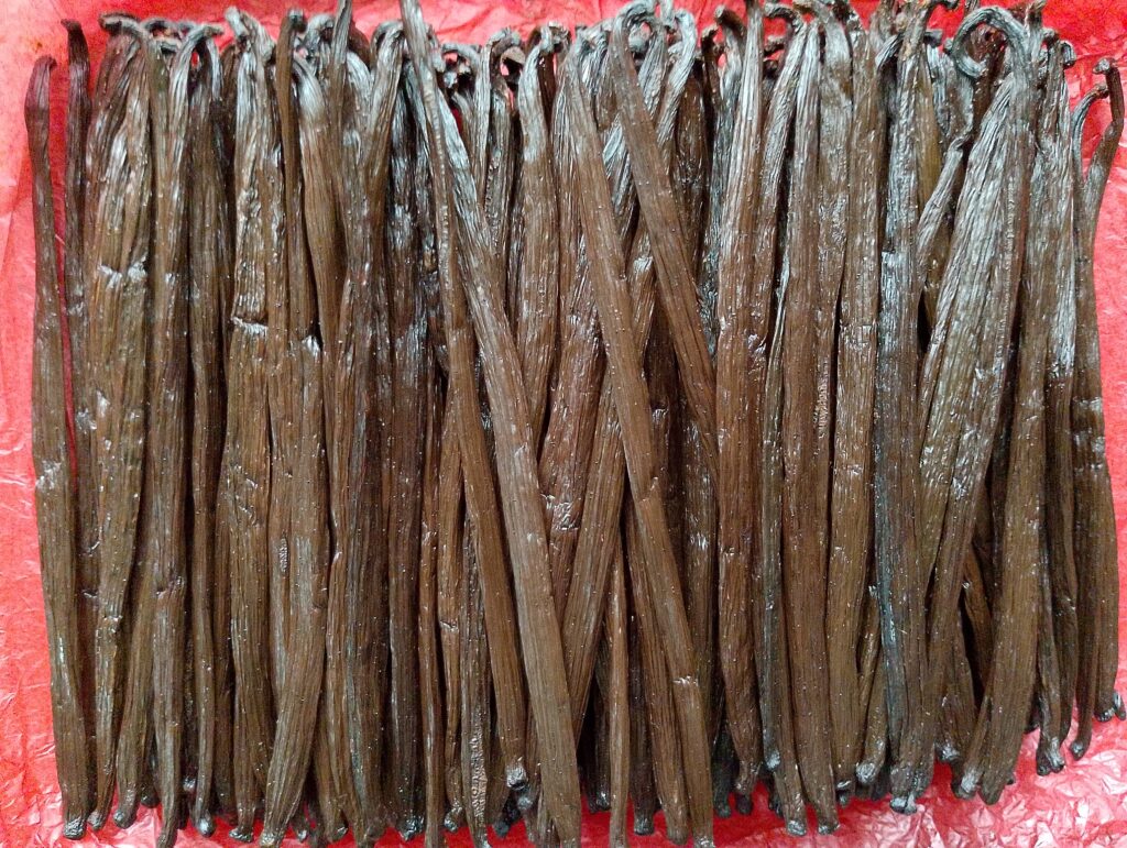 extract grade vanilla beans1