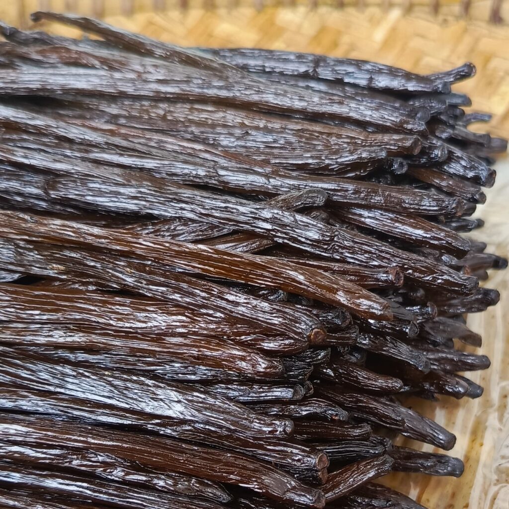 gourmet vanilla bean