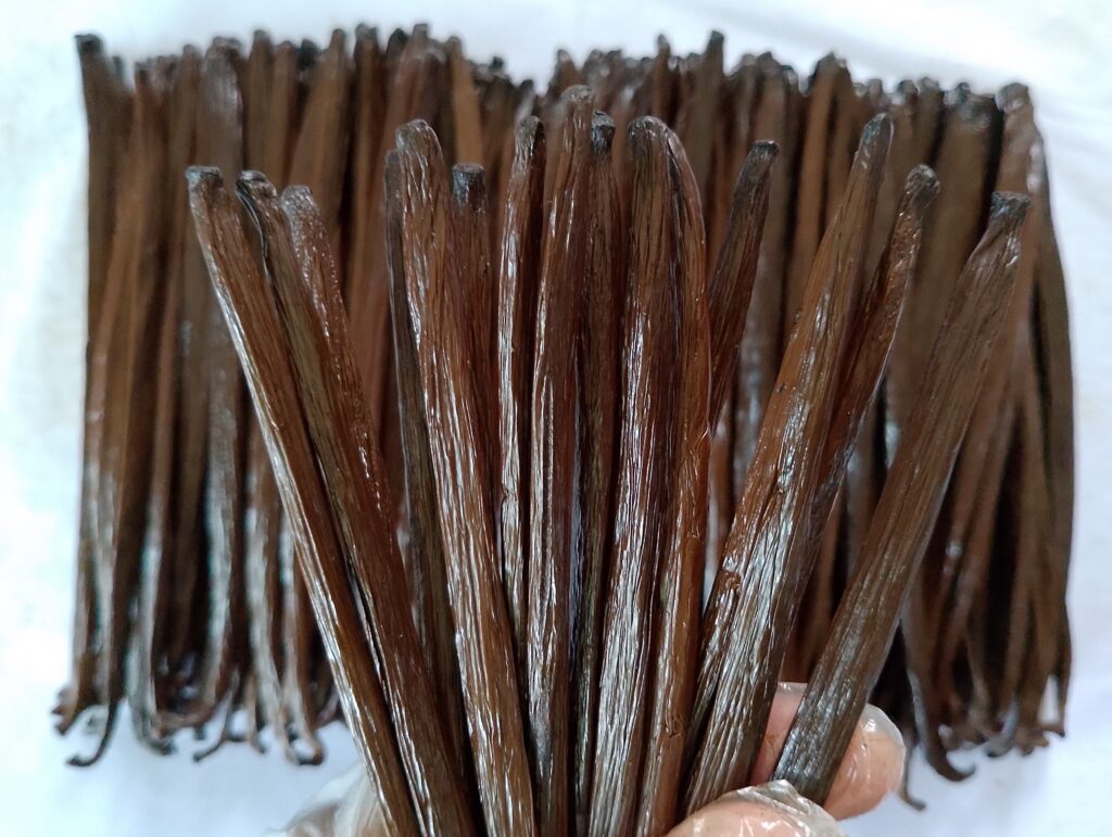 grade A vanilla beans2