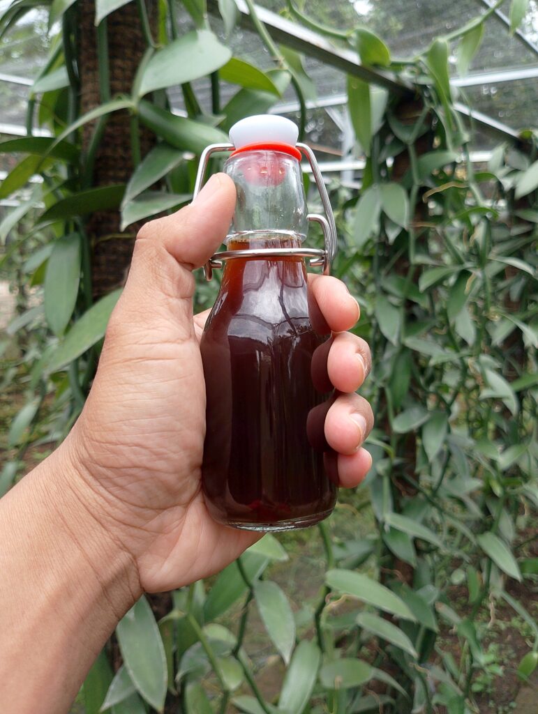 vanilla extract